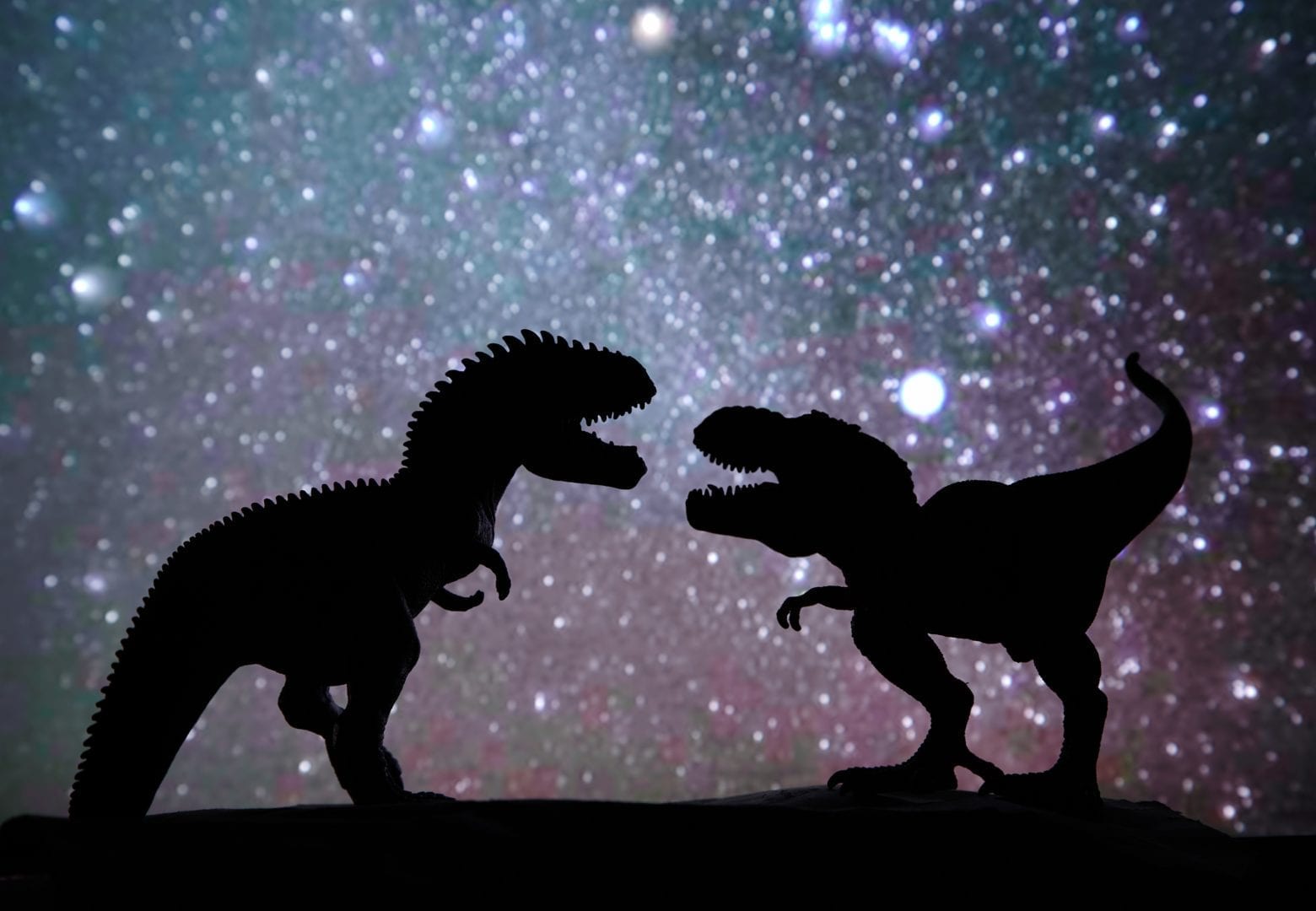 silhouettes of 2 t-rex dinosaurs battling under a starry sky